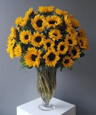 Endless Sunflowers Premium