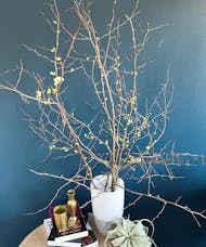 Quince Branch By The Bunch