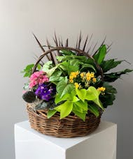 Blooming Basket XLarge