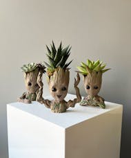 Baby Groot Succulent Planters