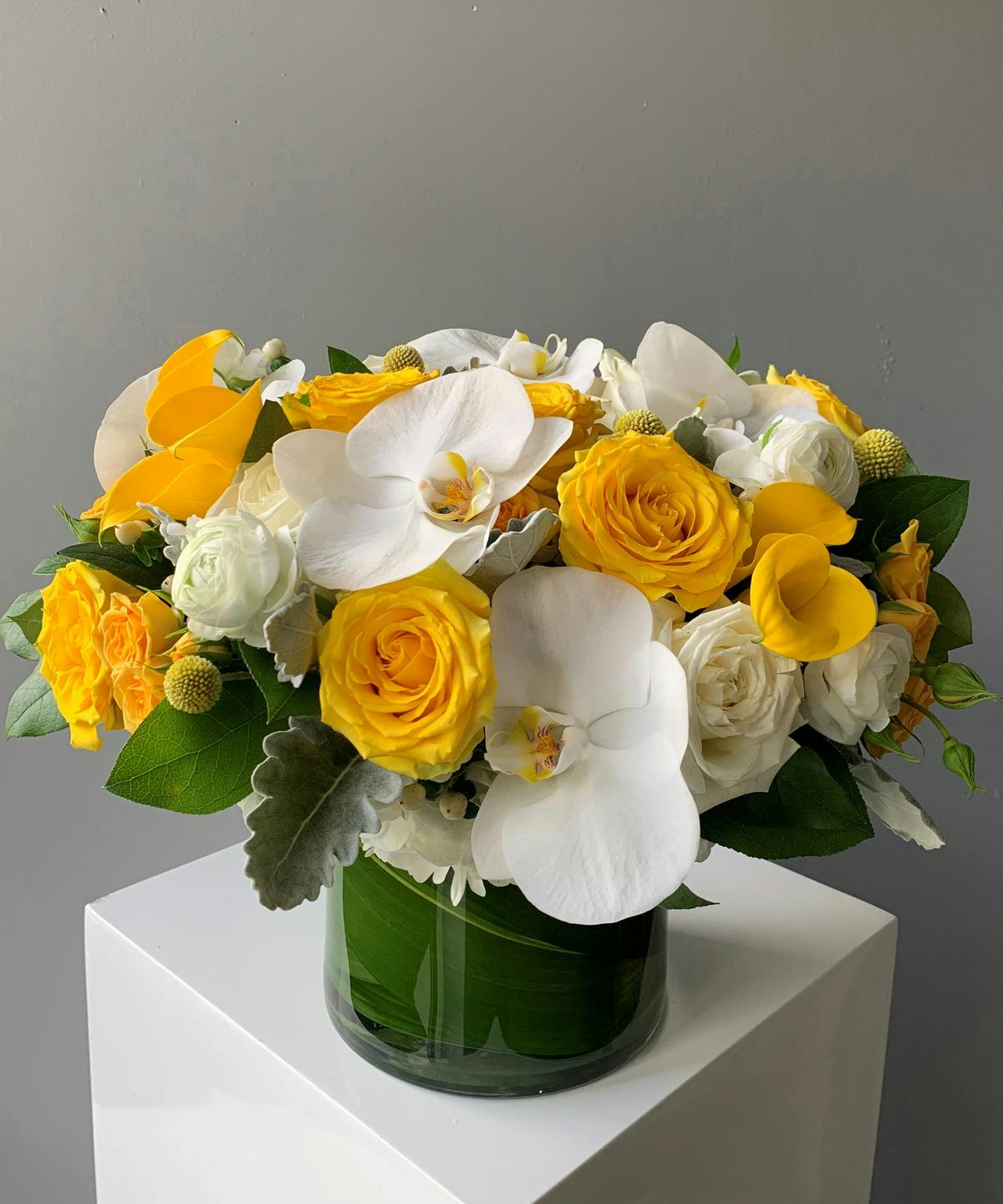 Canary Baltimore (MD) SameDay Flower Delivery Flowers & Fancies