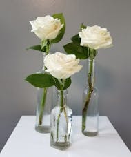 Classic Roses Budvases