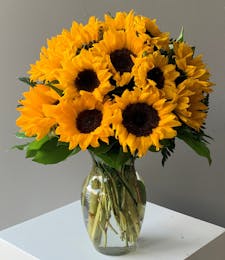 Endless Sunflowers