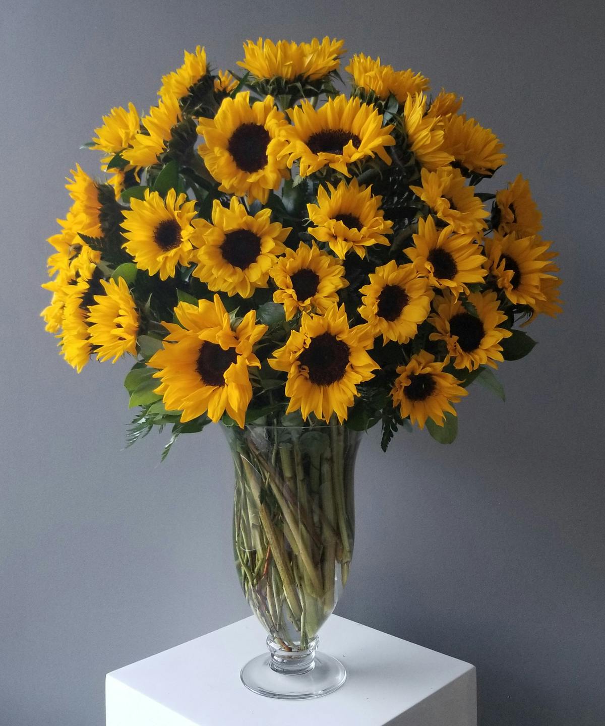 Endless Sunflowers Baltimore (MD) SameDay Flower Delivery Flowers