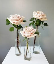 Classic Roses Blush Budvase
