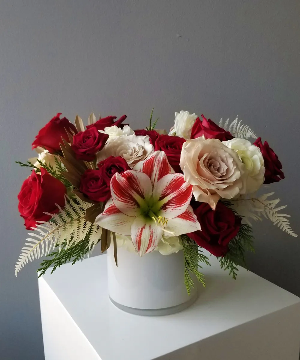 Candy Stripe Baltimore (MD) SameDay Plant Delivery Flowers & Fancies