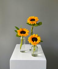 Classic Sunflower Budvases