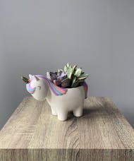 Lolly Unicorn with Succulents
