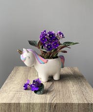 Fanciful Unicorn with Violets