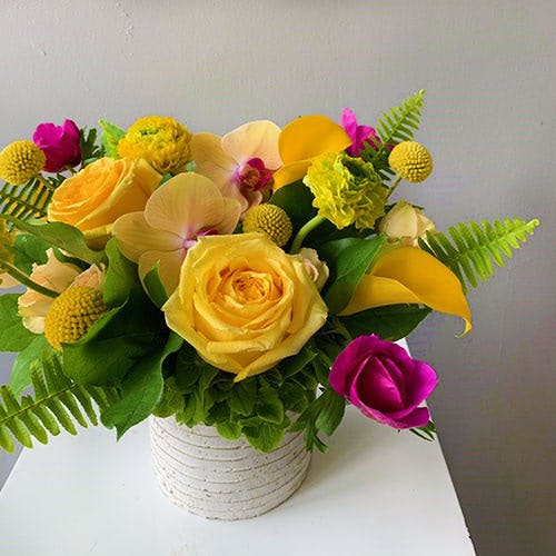 Flowers & Fancies Baltimore & Owings Mills (MD) Flower, Plant, & Gift