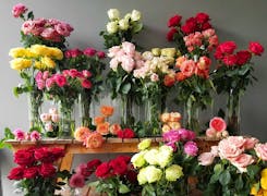 A colorful display of vased roses in our Owings Mills showroom