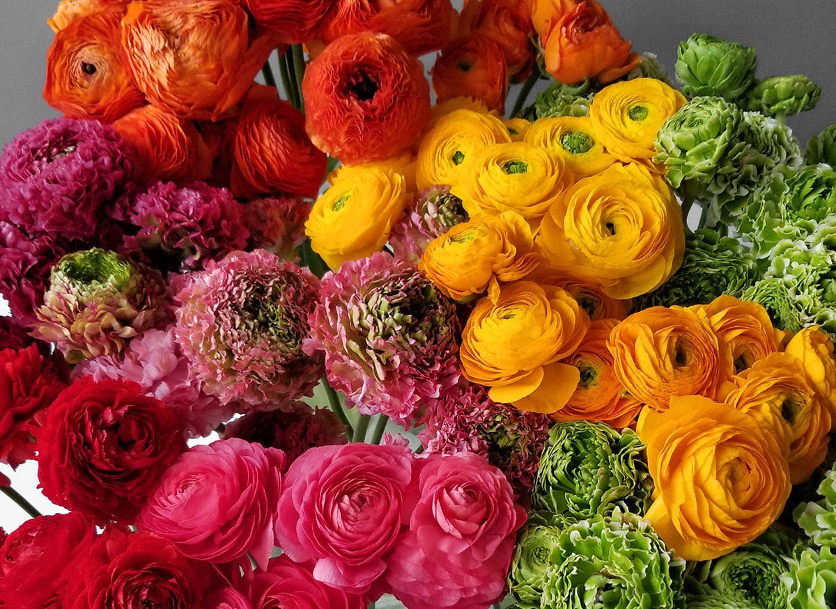 Flowers & Fancies Hours & Address Owings Mills, MD