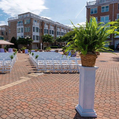 Flowers & Fancies Baltimore & Owings Mills (MD) Flower, Plant, & Gift