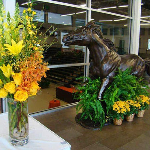 Flowers & Fancies Baltimore & Owings Mills (MD) Flower, Plant, & Gift