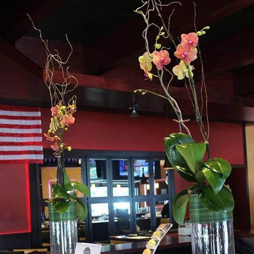 Flowers & Fancies Baltimore & Owings Mills (MD) Flower, Plant, & Gift